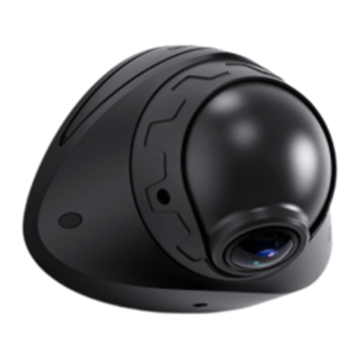 AI theft-prevention camera